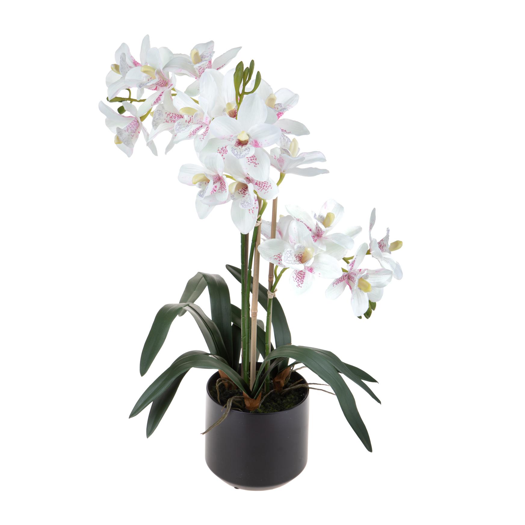 Orchidea Cymbidium Con 3 Diramzioni In Vaso. Altezza 56 Cm - Pezzi 1 - 34X56X34cm - Colore: Bianco - Bianchi Dino - Piante Artificiali