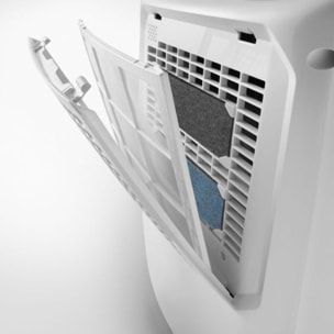 Deshumidificateur DELONGHI DEXD216RF Blanc