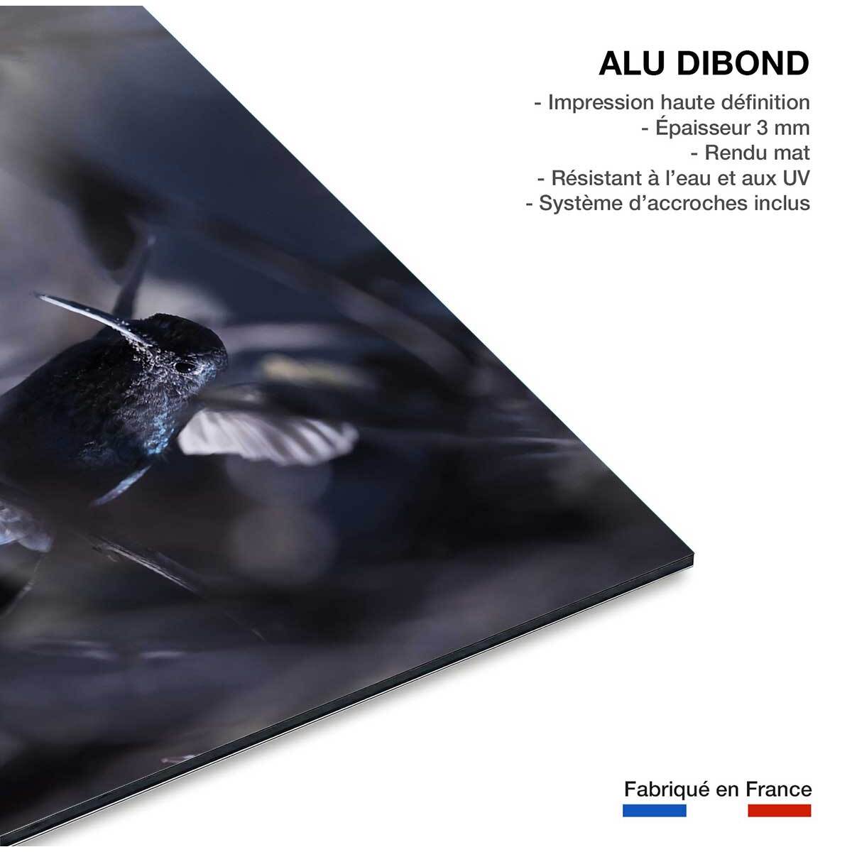 Tableau animaux - La petite étoile d' equateur Tableau alu Dibond