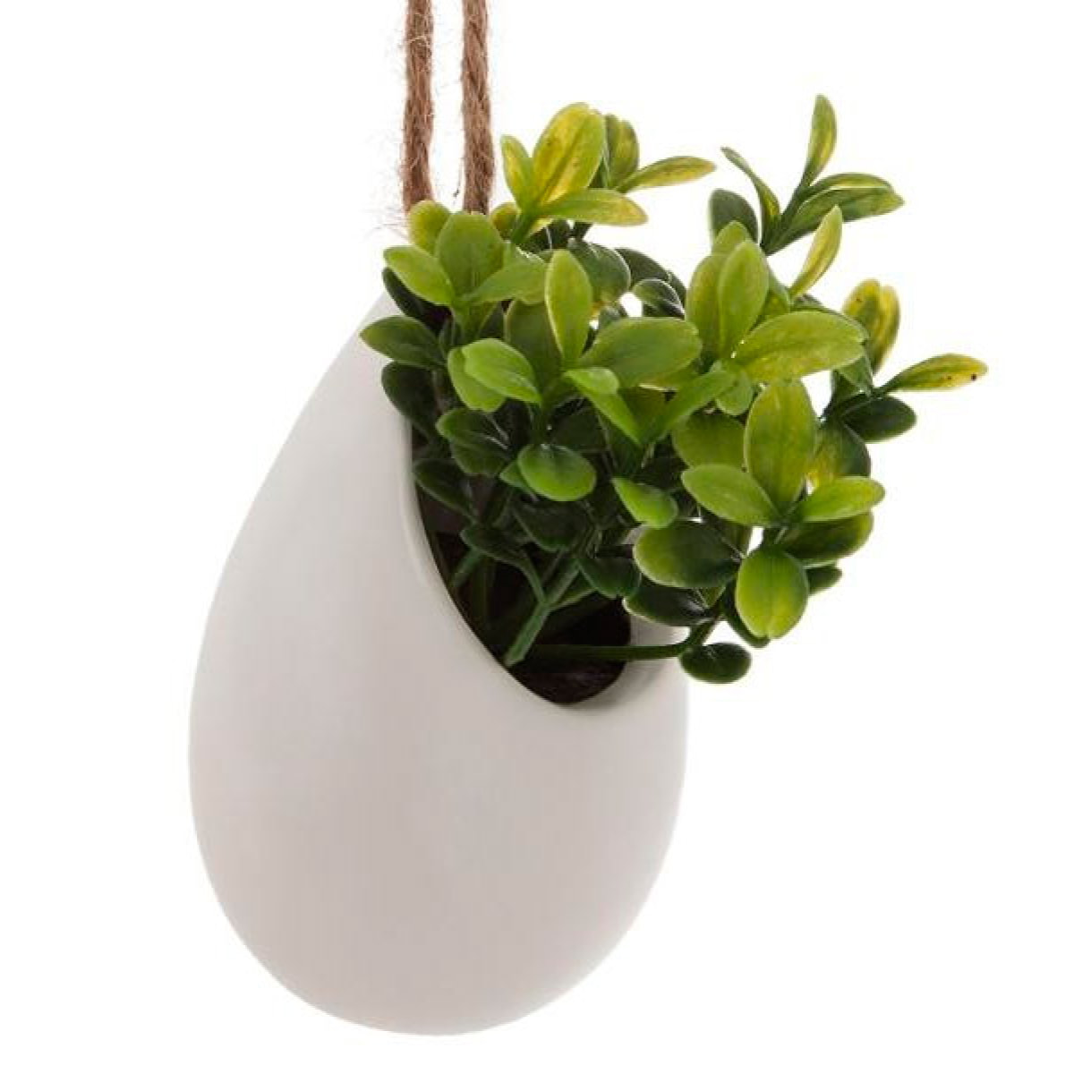 Planta colgante madi 13cm