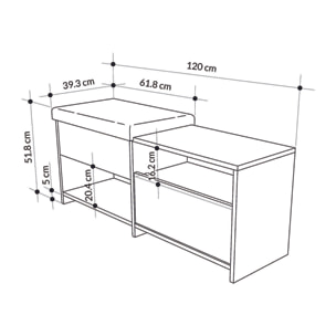 Scarpiera Nuri, Mobile portascarpe, Armadio da ingresso multiuso, Mobiletto per calzature, 120x41 h51 cm, Bianco