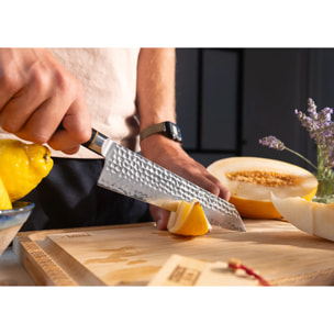 Coltello da Chef Kiritsuke | Lama 210 mm | Acciaio Inossidabile Giapponese San-Mai