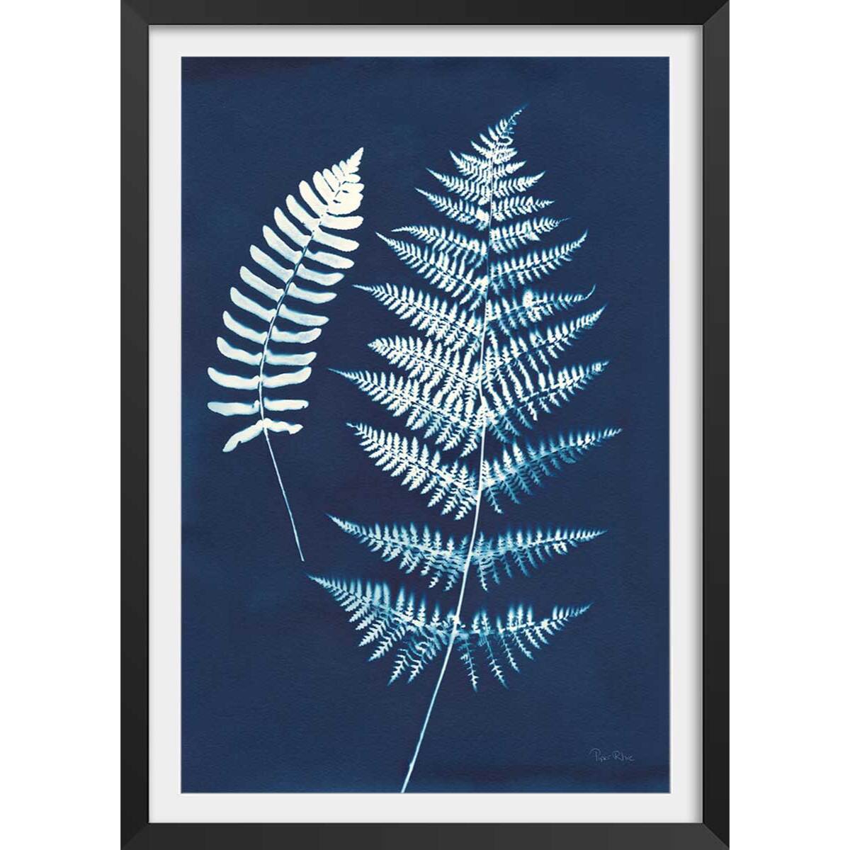 Affiche Duo fougères bleues Affiche + cadre en bois - Noir