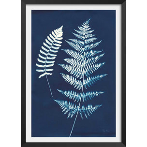 Affiche Duo fougères bleues Affiche + cadre en bois - Noir