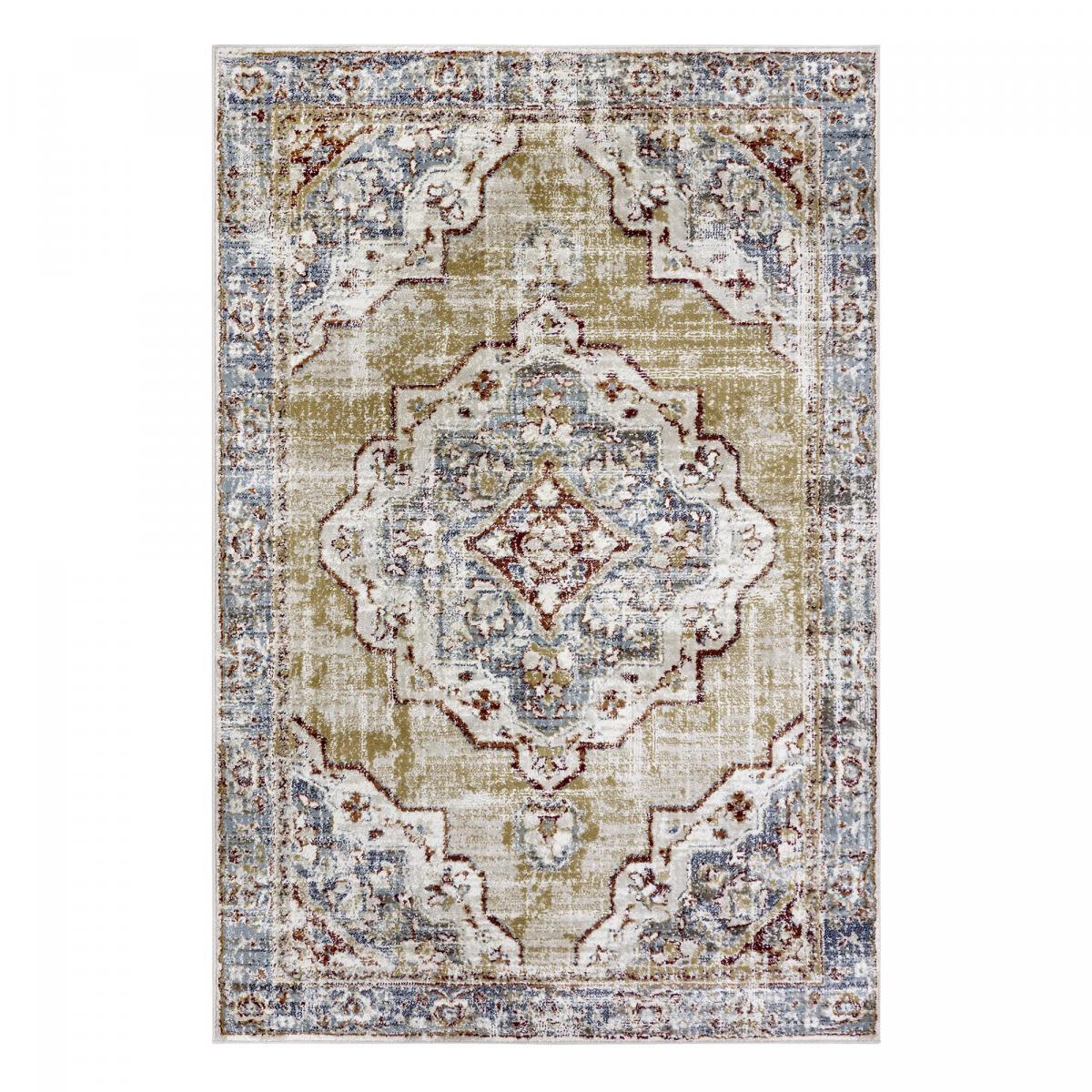 Tapis salon Rectangulaire Oriental