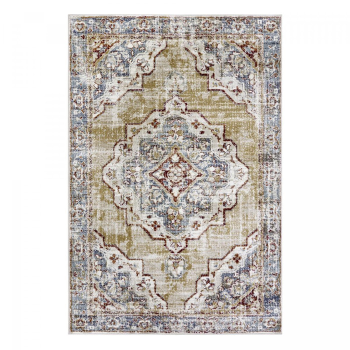 Tapis salon Rectangulaire Oriental