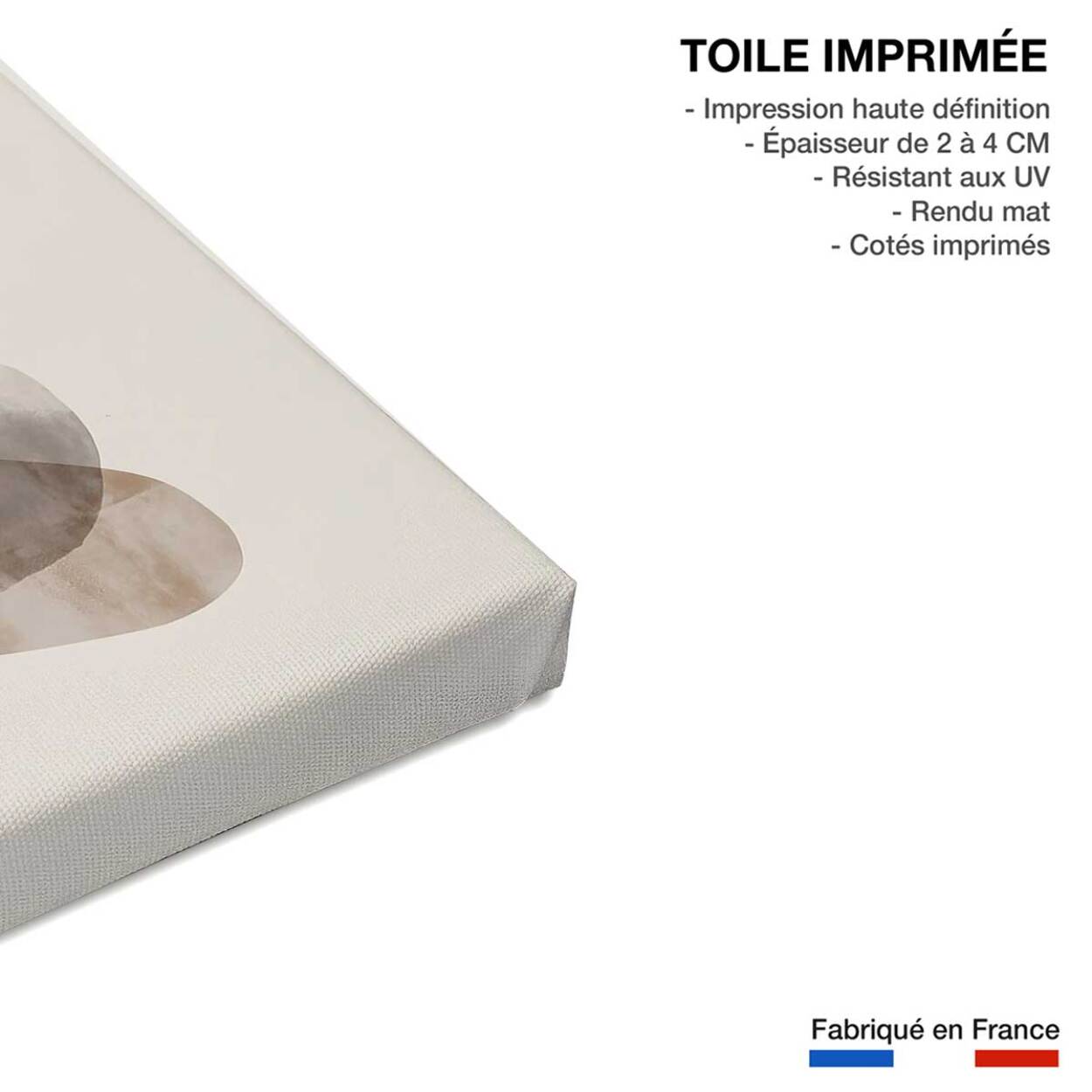 Tableau Organisme abstrait N°2 Toile imprimée