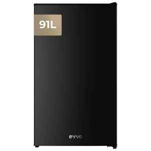 Frigorífico Mini EVVO F24BK, 91 L, Negro, Bajo consumo