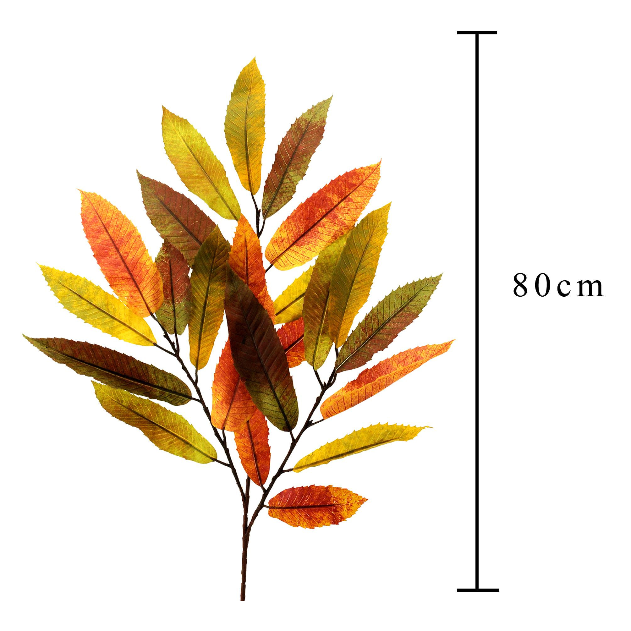 Platano autunnale - Pezzi 12 - ROSSO - Bianchi Dino SpA