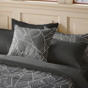 Couverture Bahama Nordic