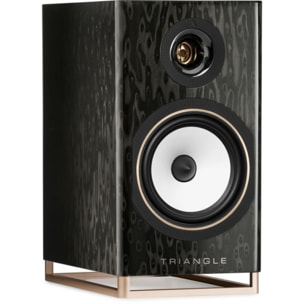 Enceinte bibliothèque active TRIANGLE Capella Etoile Noire