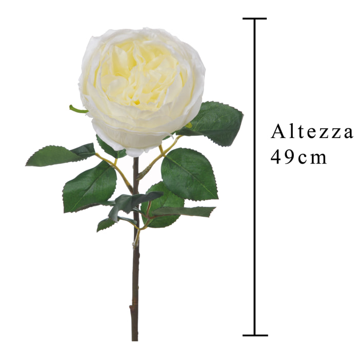 Rosa Cabbage. Altezza 49 Cm - Pezzi 6 - 13X49X13cm - Colore: Bianco - Bianchi Dino - Fiori Artificiali