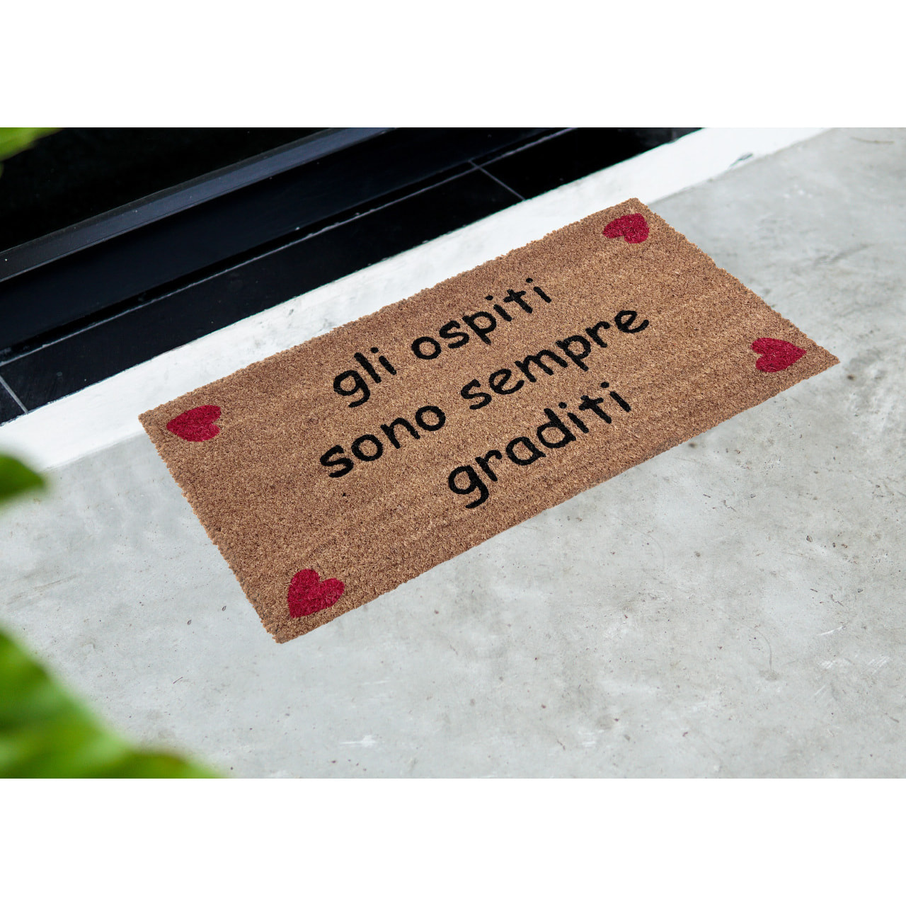 Zerbino Ingresso Casa Antiscivolo in Cocco Ospiti Graditi
