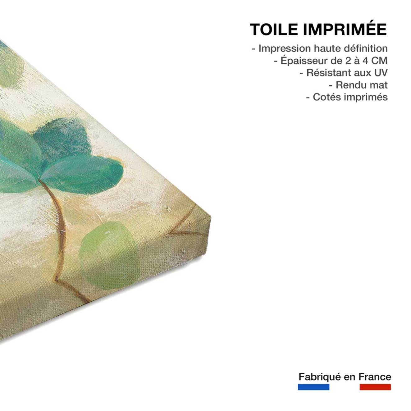 Tableau de fleurs fleur de paon  Toile imprimée