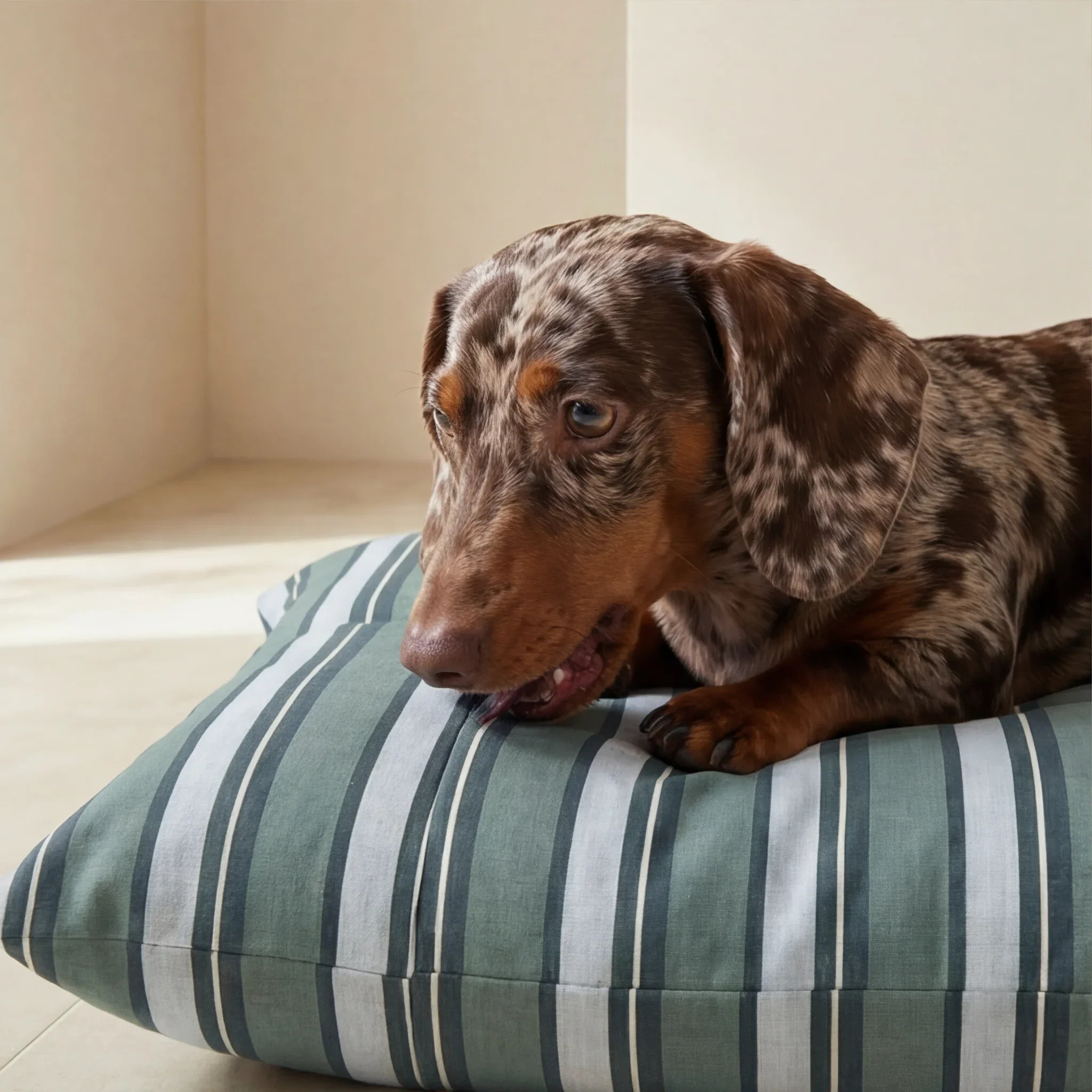 Lit pour animaux déhoussable et antitaches Orelis Balance