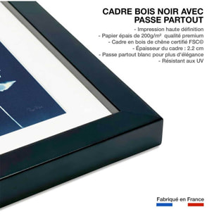 Affiche Fougère bleue Affiche + cadre en bois - Noir