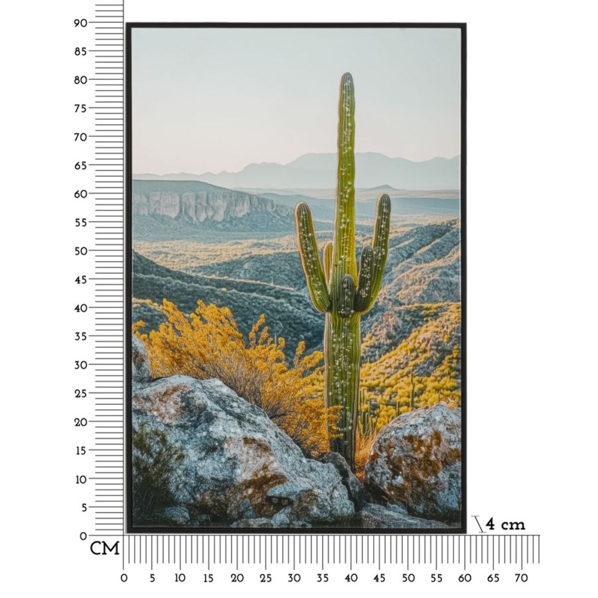 STAMPA SU TELA LACCATA C/CORNICE CACTUS -B- CM 60X4X90