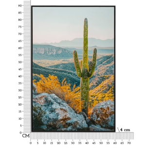STAMPA SU TELA LACCATA C/CORNICE CACTUS -B- CM 60X4X90
