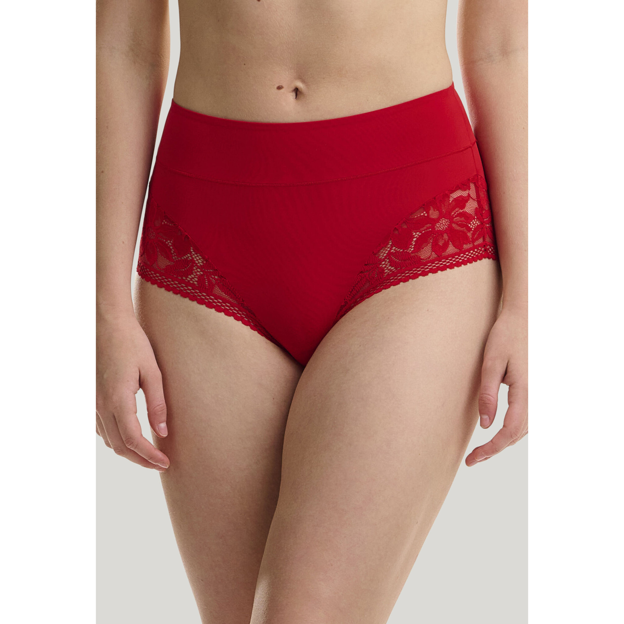 Slip Lace High Waist Brief