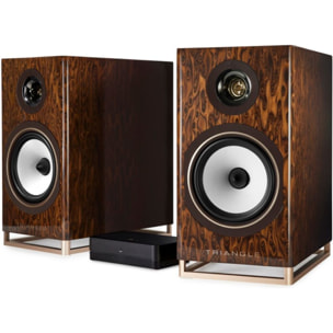 Enceinte bibliothèque active TRIANGLE Capella Nébuleuse Brune