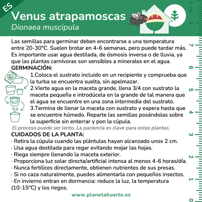 Kit de autocultivo Planta carnívora Venus atrapamoscas Planeta Huerto