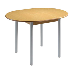 Mesa extensible circular