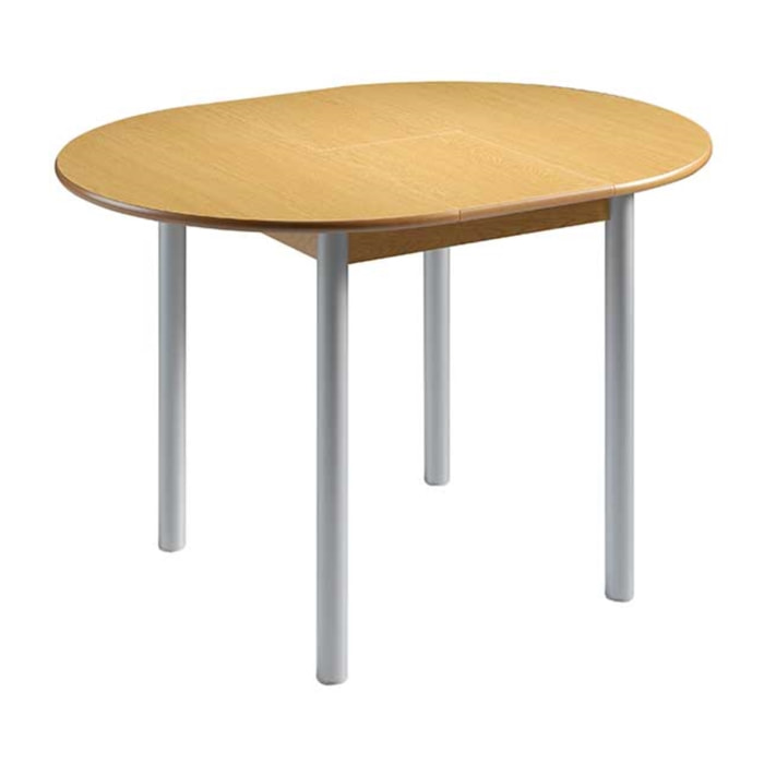 Mesa extensible circular