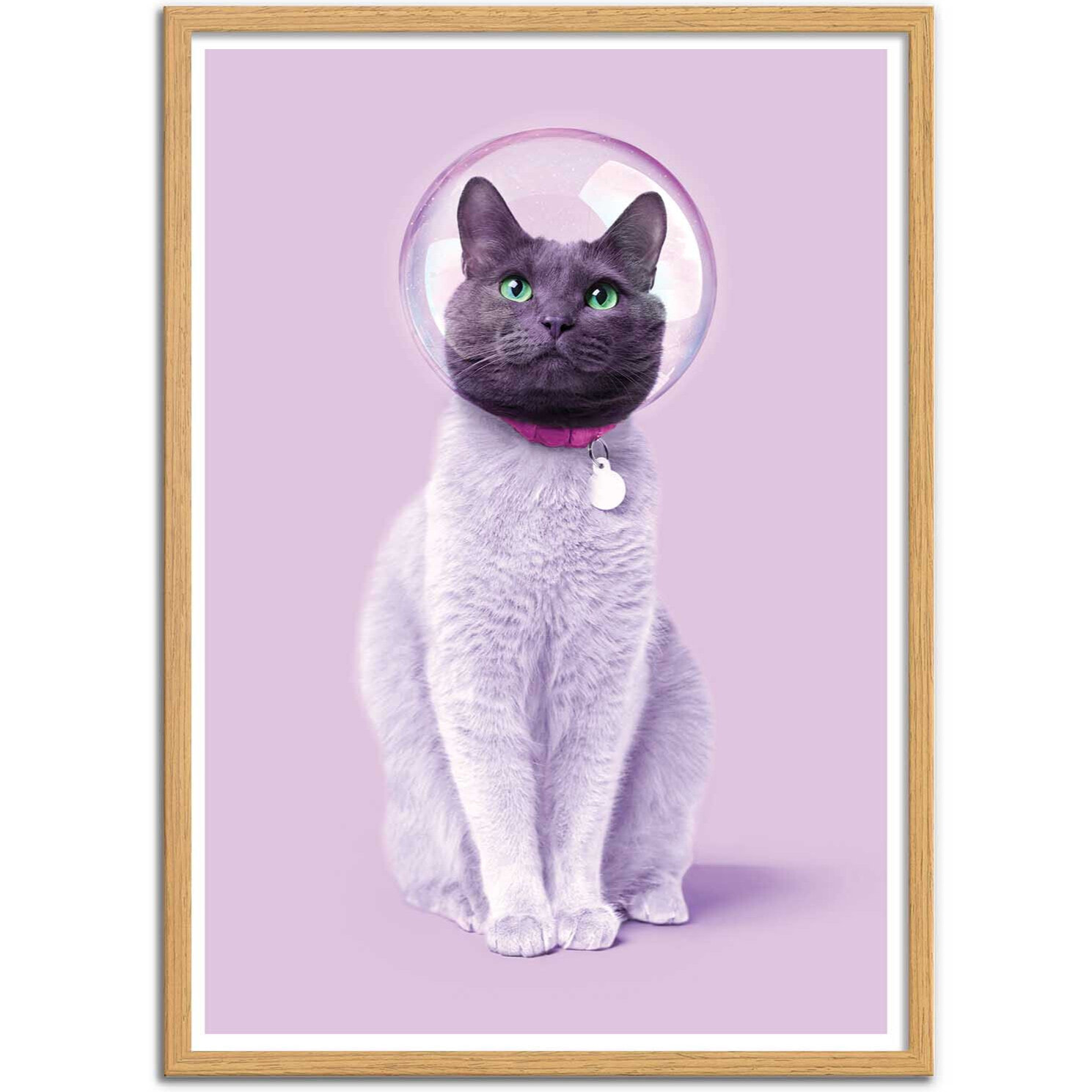 Affiche - Space cat - Paul Fuentes