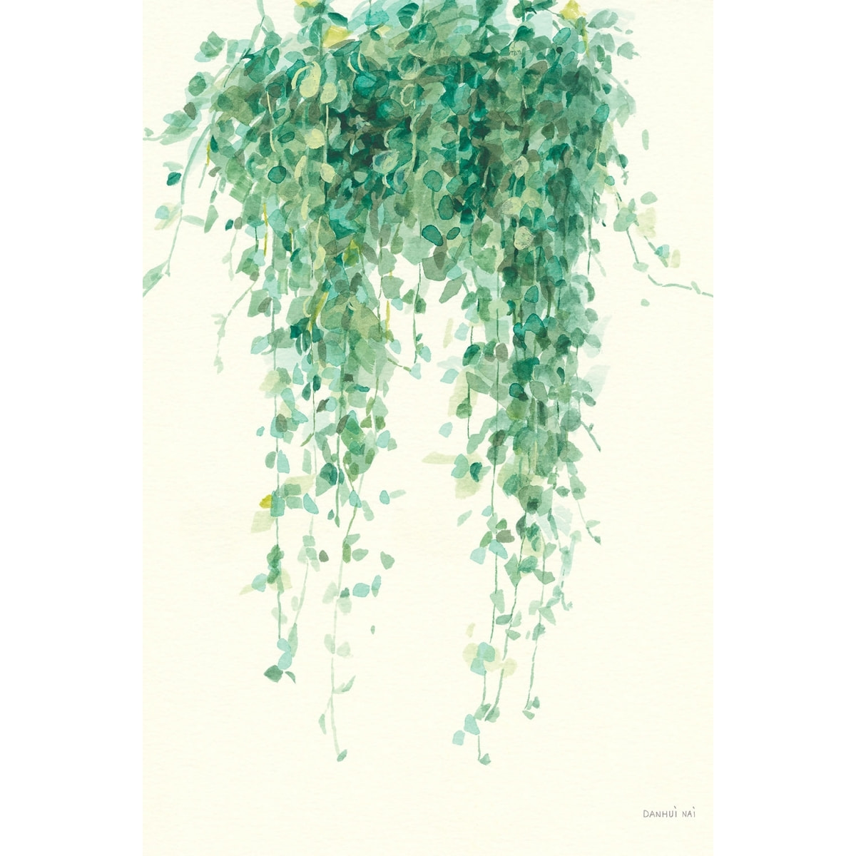 Tableau fleurs Plante tropicale Ceropegia illustrée Tableau plexiglas