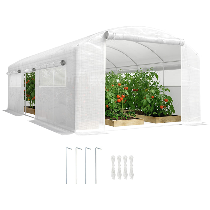 Invernadero de Exterior 6x3x2 m, Invernadero de Túnel con 3 Puertas Enrollables, Ventanas de Malla, Cubierta PE 140g/m² Anti-UV y Marco de Acero Galvanizado, para Cultivos, Plantas, Blanco