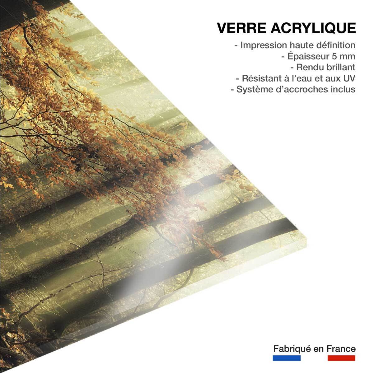 Tableau Feuilles d'automne Tableau plexiglas