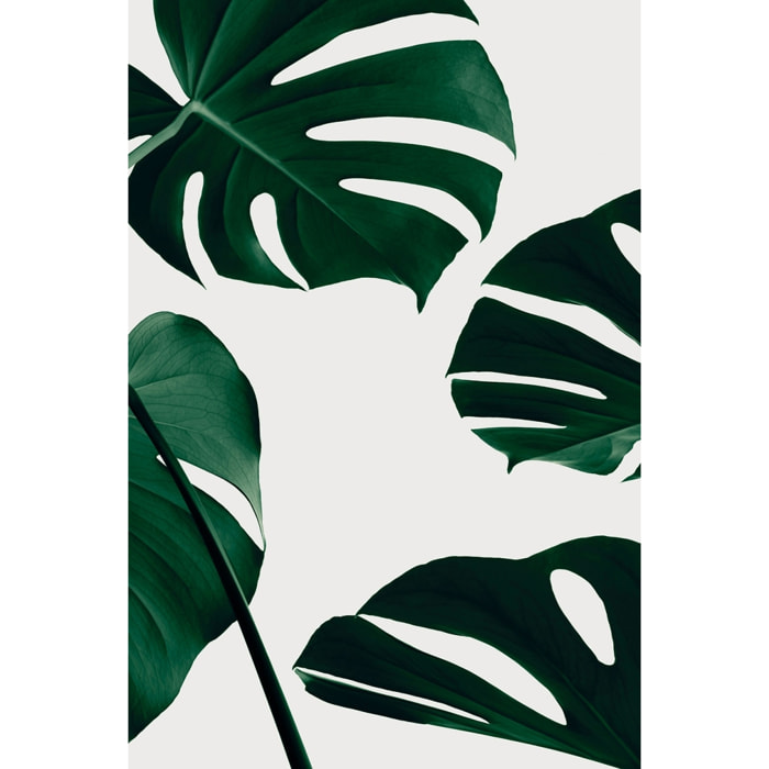 Tableau monstera quattro Toile imprimée