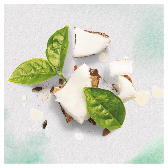 6 Shampoings Lait de Coco 250ml, Herbal Essences