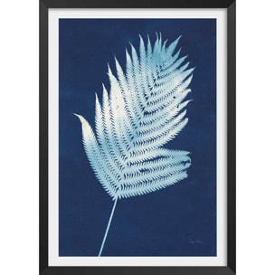 Affiche Fougère d'argent Affiche + cadre en bois - Noir