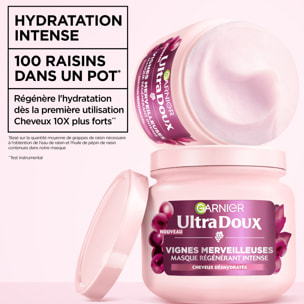 Garnier Ultra Doux Vignes Merveilleuses Masque Hydratant Régénérant Intense 340ml - Homme & Femme
