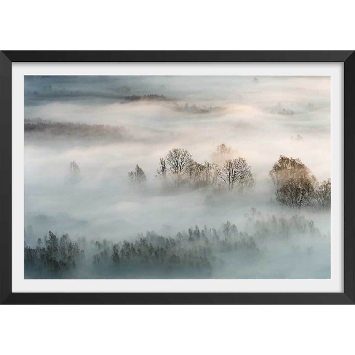 Affiche paysage brouillard hivernal Affiche + cadre en bois - Noir