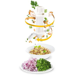 Hachoir MOULINEX VALENTIN Noir DJ120810