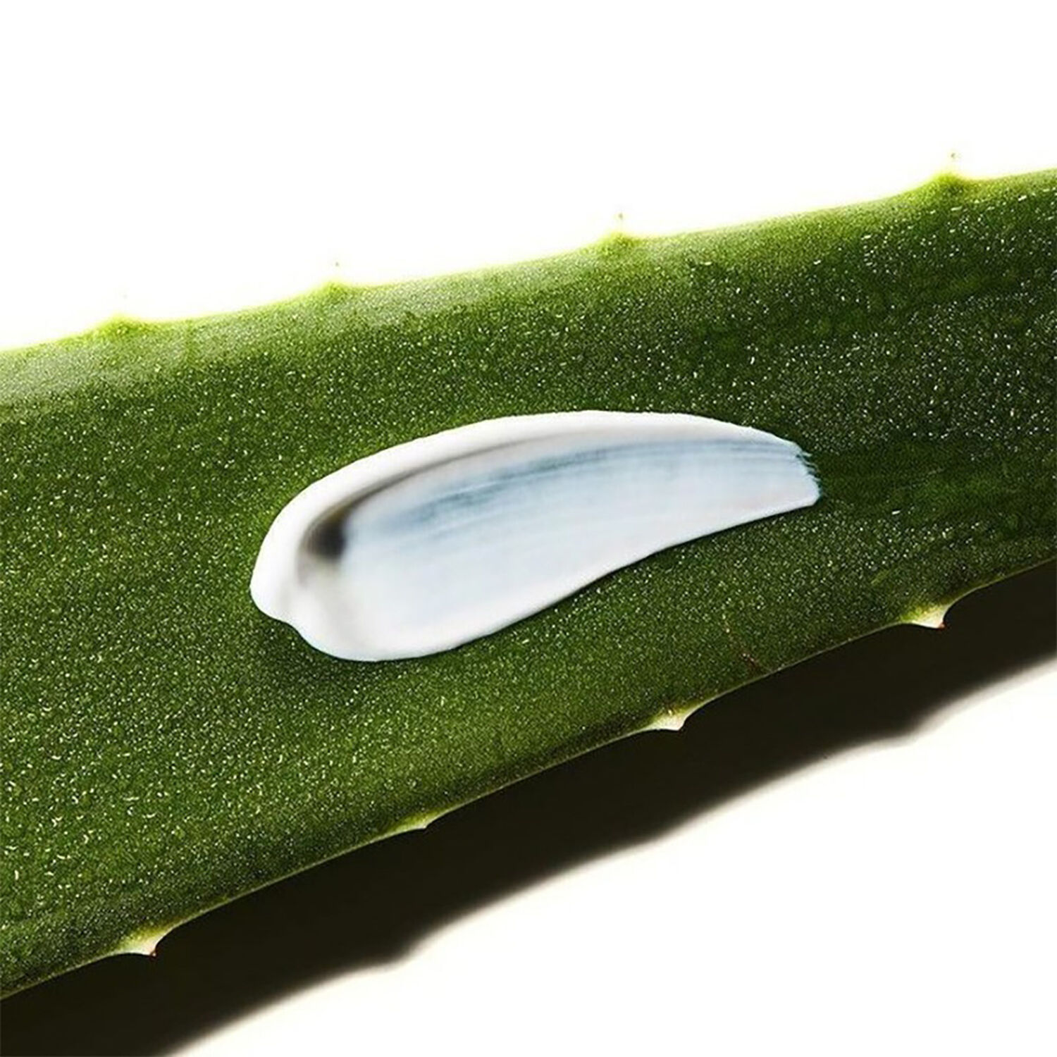 Aloe Soothing Sun Cream SPF50 PA+++ - Crème Solaire 50 ml