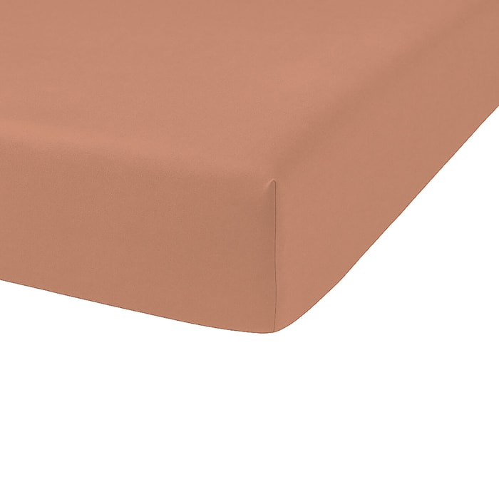 Drap housse - bonnet:30cm coton 57fils et lyocell terracotta