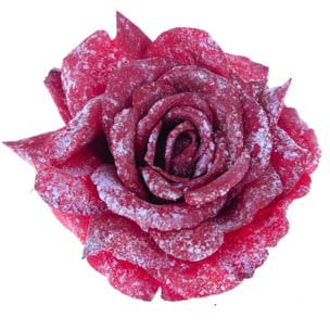 Rosa - Pezzi 24 - 15xH5x15cm - Bianchi Dino SpA