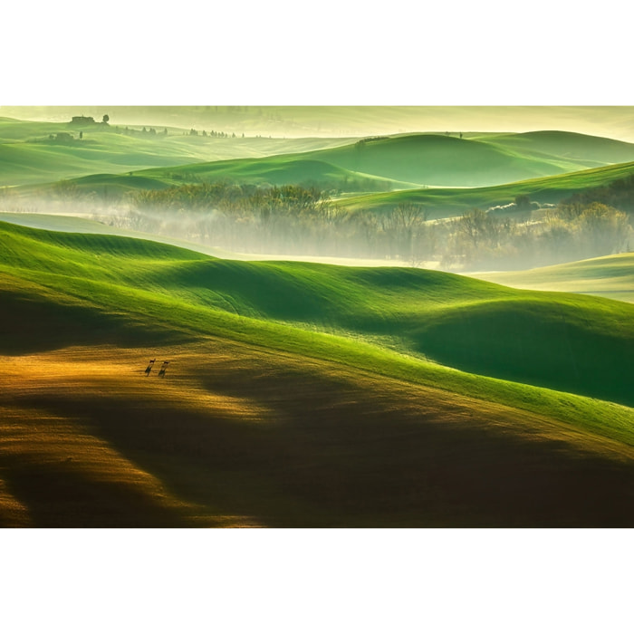 Tableau nature collines brumeuses Tableau plexiglas