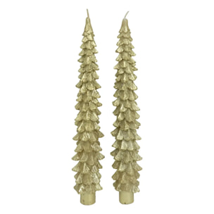 Lot de 2 bougies bâton sapin doré