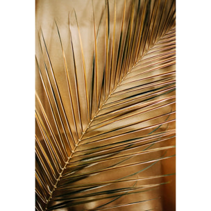Tableau golden palm Tableau plexiglas