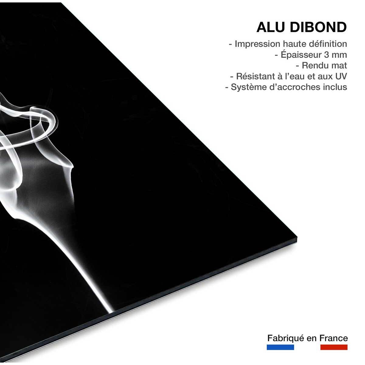 Tableau  white smoke tulip dream Tableau alu Dibond