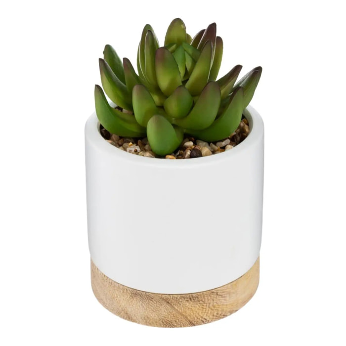 Succulente artificielle - pot en céramique - H12 cm