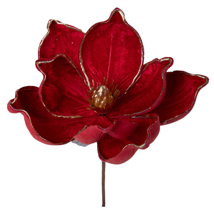 Pick magnolia - Pezzi 12 - ROSSO - Bianchi Dino SpA