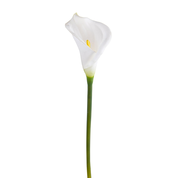 Fiore Di Calla Semi Aperta. Altezza 66 Cm - Pezzi 6 - 5X66X5cm - Colore: Bianco - Bianchi Dino - Fiori Artificiali