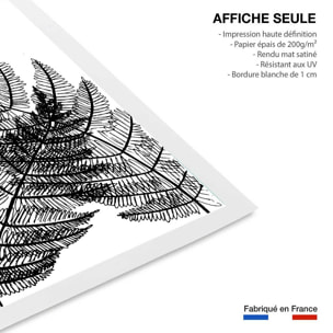 Poster landes fougères Affiche seule