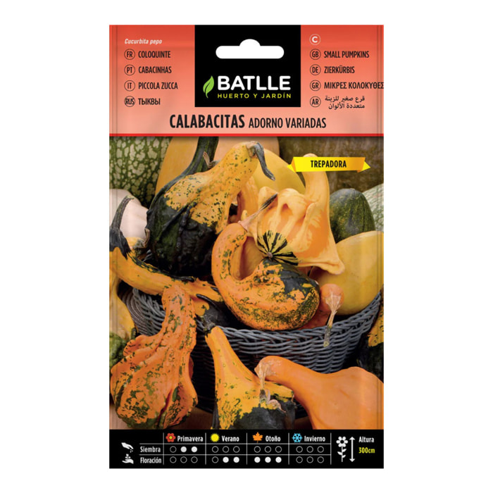 Semillas de Calabacitas adorno Batlle