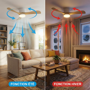 Ventilateur Plafond LED ALIYA D132CM